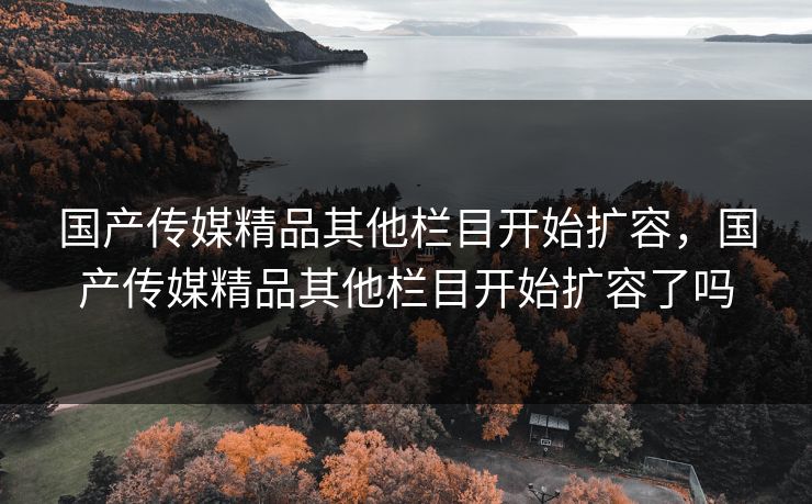 国产传媒精品其他栏目开始扩容，国产传媒精品其他栏目开始扩容了吗