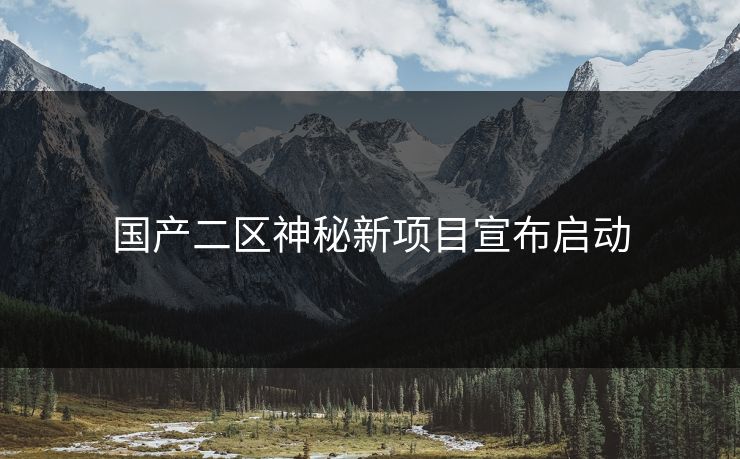 国产二区神秘新项目宣布启动
