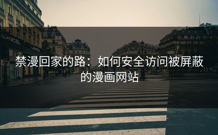 禁漫回家的路：如何安全访问被屏蔽的漫画网站