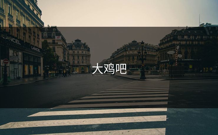 大鸡吧