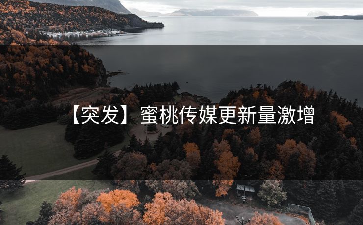 【突发】蜜桃传媒更新量激增