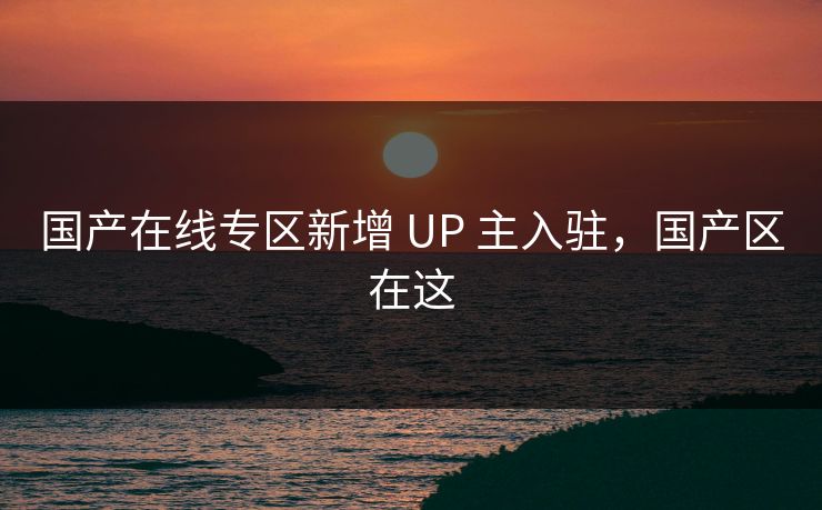 国产在线专区新增 UP 主入驻，国产区在这
